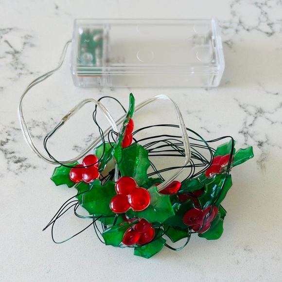 Pier 1  Holly Glimmer 5' LED  String lights - Picture 9 of 15